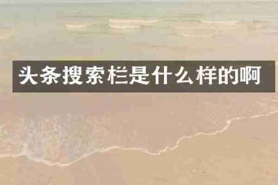 头条搜索栏是什么样的啊