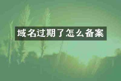域名过期了怎么备案