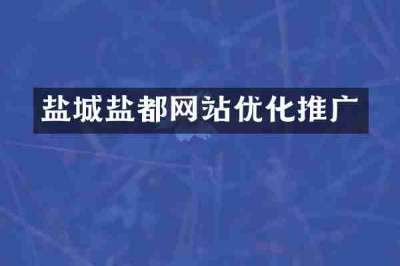 盐城盐都网站优化推广