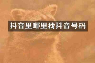 抖音里哪里找抖音号码