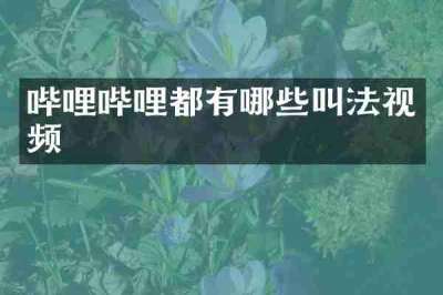 哔哩哔哩都有哪些叫法视频