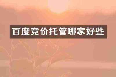 百度竞价托管哪家好些