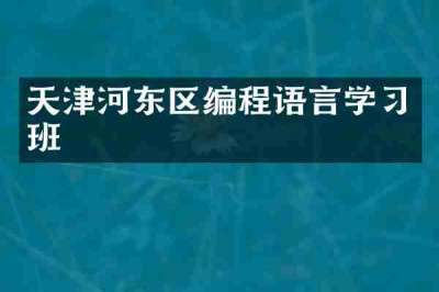 天津河东区编程语言学习班