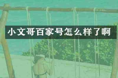 小文哥百家号怎么样了啊