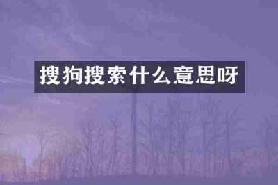 搜狗搜索什么意思呀