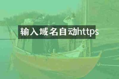 输入域名自动https