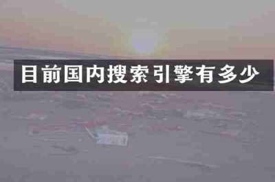 目前国内搜索引擎有多少