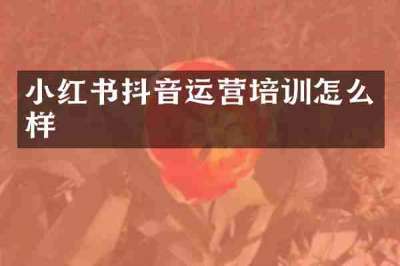 小红书抖音运营培训怎么样