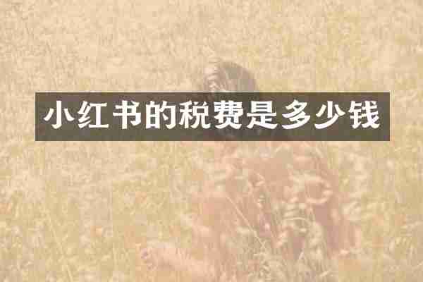 小红书的税费是多少钱
