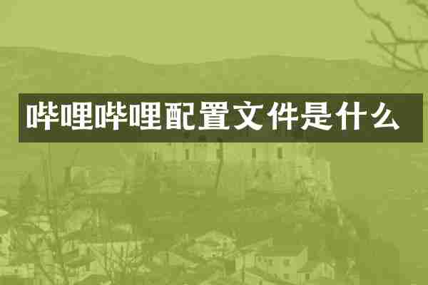 哔哩哔哩配置文件是什么