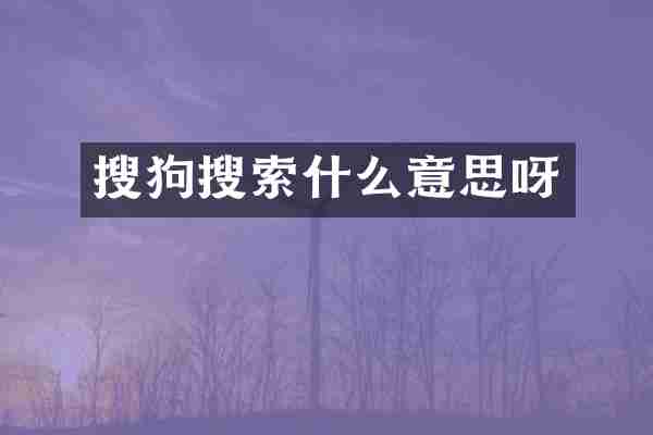 搜狗搜索什么意思呀