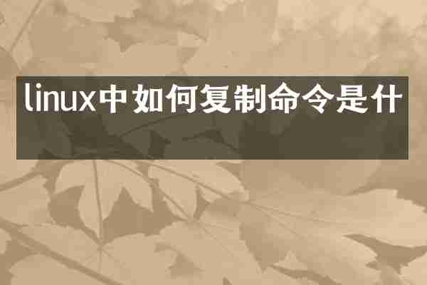 linux中如何复制命令是什么