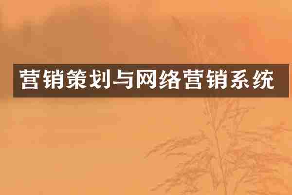 营销策划与网络营销系统