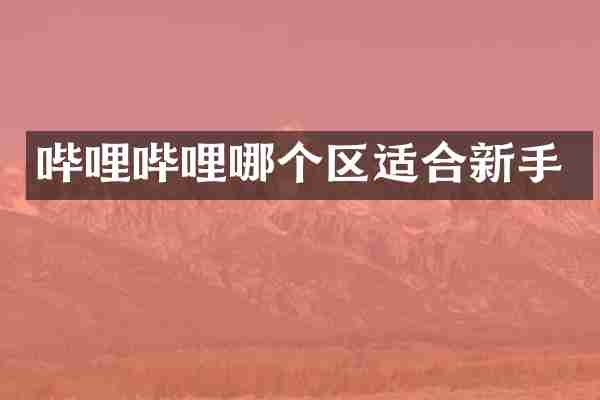 哔哩哔哩哪个区适合新手