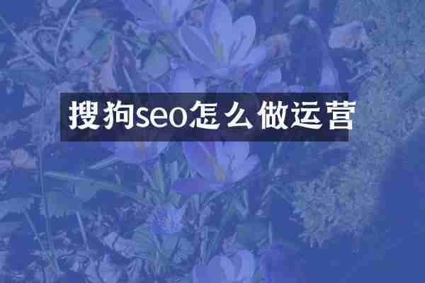搜狗seo怎么做运营