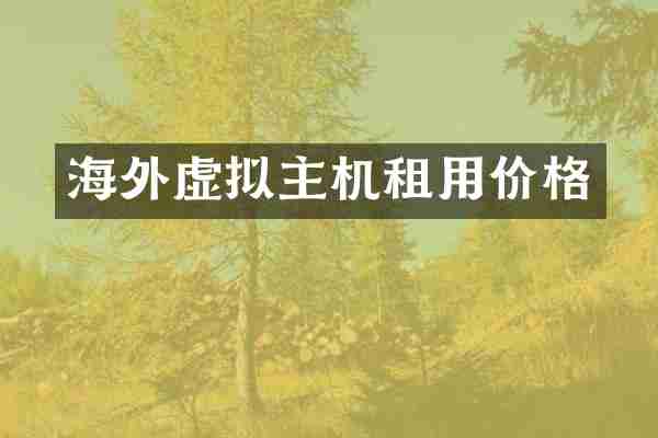 海外虚拟主机租用价格