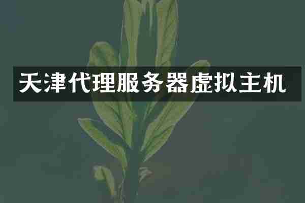 天津代理服务器虚拟主机