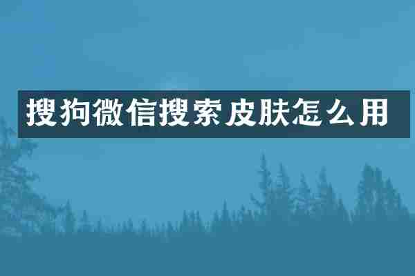 搜狗微信搜索皮肤怎么用