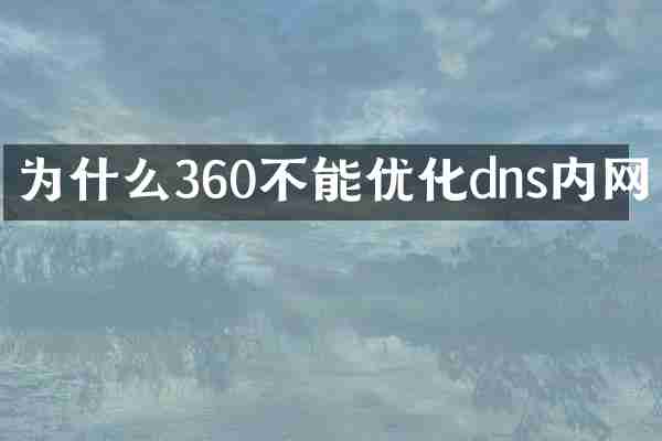 为什么360不能优化dns内网