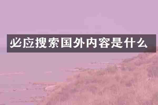 必应搜索国外内容是什么