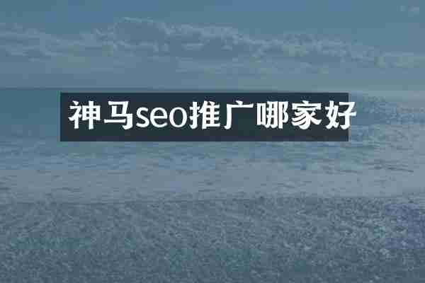 神马seo推广哪家好