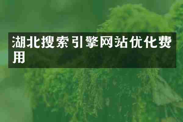 湖北搜索引擎网站优化费用