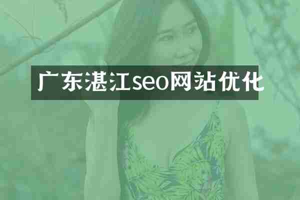 广东湛江seo网站优化