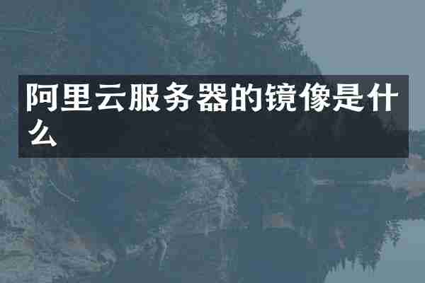 阿里云服务器的镜像是什么