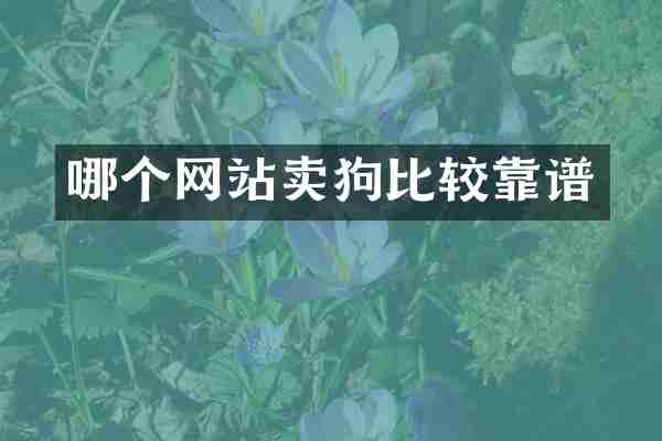 哪个网站卖狗比较靠谱
