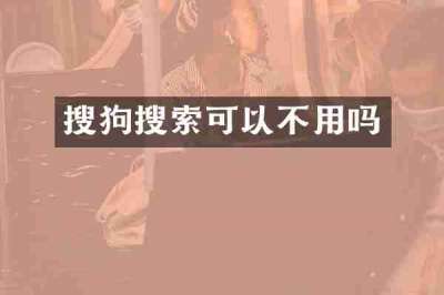 搜狗搜索可以不用吗