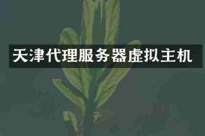 天津代理服务器虚拟主机