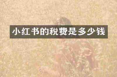 小红书的税费是多少钱