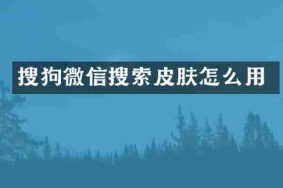 搜狗微信搜索皮肤怎么用