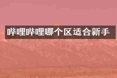 哔哩哔哩哪个区适合新手