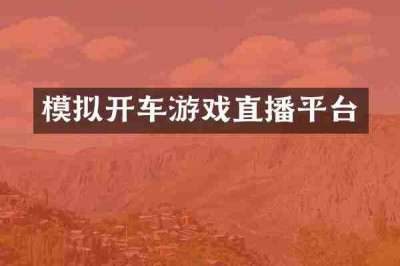 模拟开车游戏直播平台