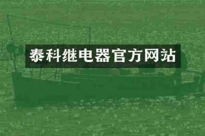 泰科继电器官方网站