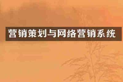 营销策划与网络营销系统