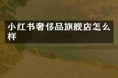 小红书奢侈品旗舰店怎么样