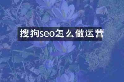 搜狗seo怎么做运营