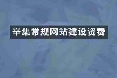 辛集常规网站建设资费