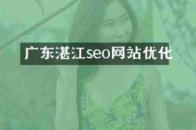 广东湛江seo网站优化