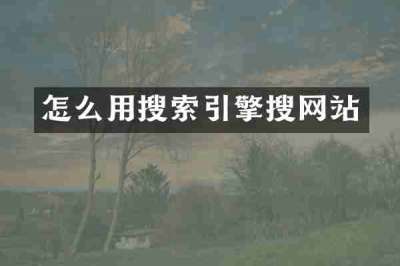 怎么用搜索引擎搜网站