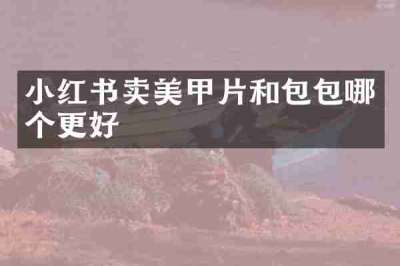 小红书卖美甲片和包包哪个更好