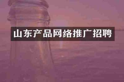 山东产品网络推广招聘