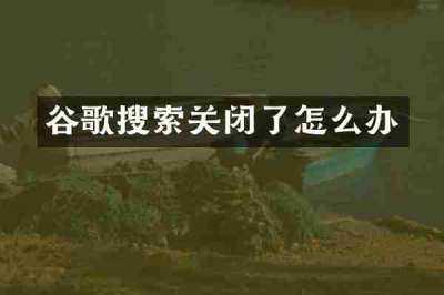 谷歌搜索关闭了怎么办