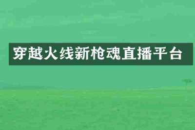 穿越火线新枪魂直播平台