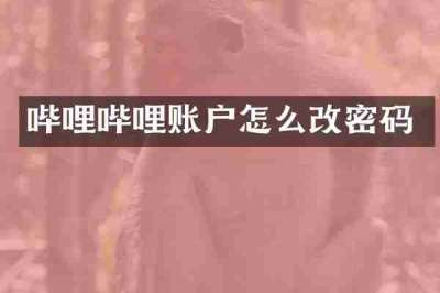 哔哩哔哩账户怎么改密码