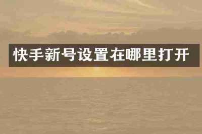 快手新号设置在哪里打开