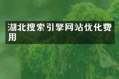 湖北搜索引擎网站优化费用