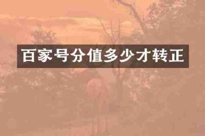 百家号分值多少才转正
